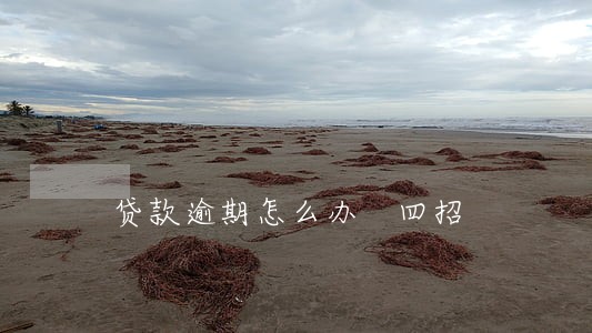贷款逾期怎么办 四招 贷款逾期怎么办 四招